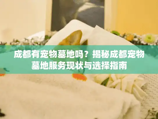 成都有宠物墓地吗？揭秘成都宠物墓地服务现状与选择指南