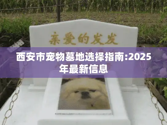 西安市宠物墓地选择指南:2025年最新信息