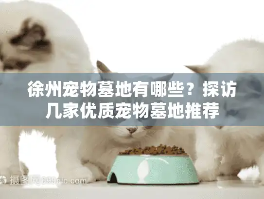 徐州宠物墓地有哪些？探访几家优质宠物墓地推荐