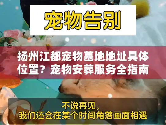 扬州江都宠物墓地地址具体位置？宠物安葬服务全指南