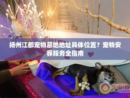 扬州江都宠物墓地地址具体位置？宠物安葬服务全指南