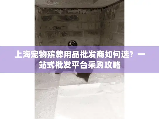 上海宠物殡葬用品批发商如何选？一站式批发平台采购攻略