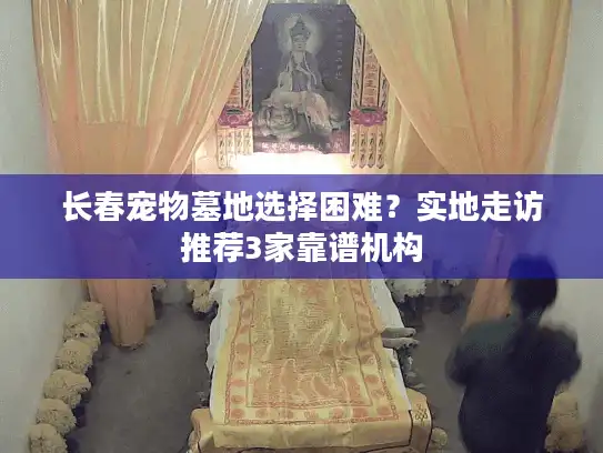 长春宠物墓地选择困难？实地走访推荐3家靠谱机构