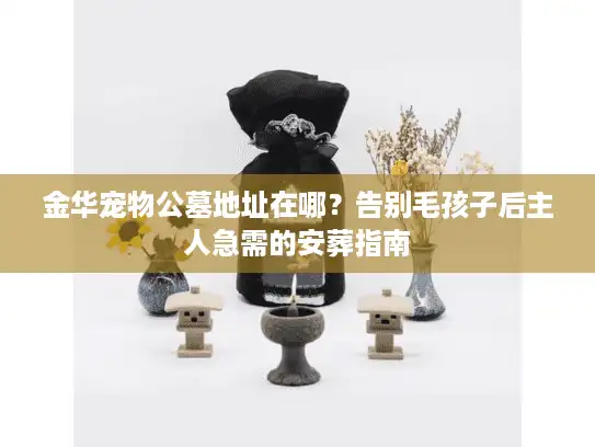 金华宠物公墓地址在哪？告别毛孩子后主人急需的安葬指南
