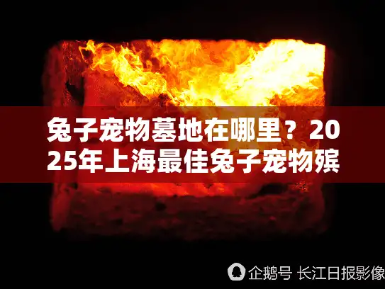 兔子宠物墓地在哪里？2025年上海最佳兔子宠物殡葬服务全面指南