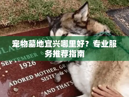 宠物墓地宜兴哪里好？专业服务推荐指南