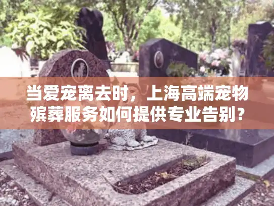 当爱宠离去时，上海高端宠物殡葬服务如何提供专业告别？