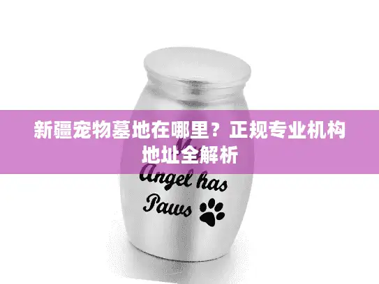 新疆宠物墓地在哪里？正规专业机构地址全解析