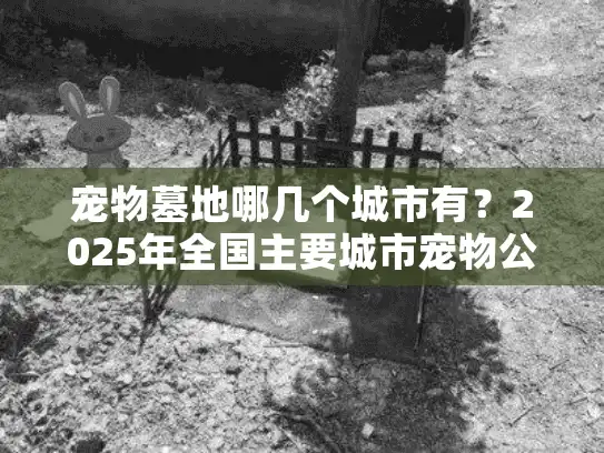 宠物墓地哪几个城市有？2025年全国主要城市宠物公墓分布指南