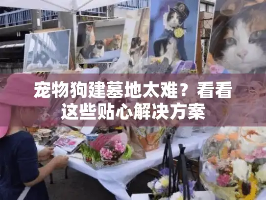 宠物狗建墓地太难？看看这些贴心解决方案