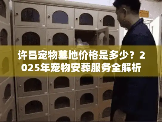 许昌宠物墓地价格是多少？2025年宠物安葬服务全解析