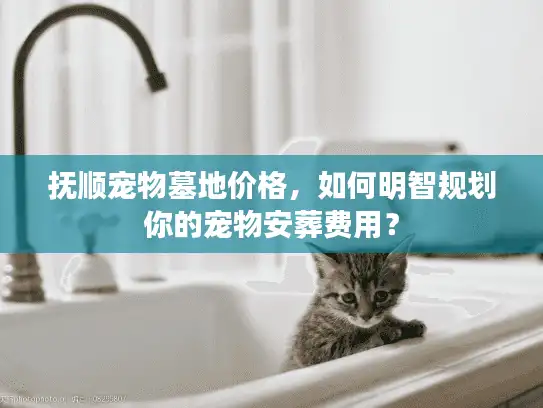 抚顺宠物墓地价格，如何明智规划你的宠物安葬费用？