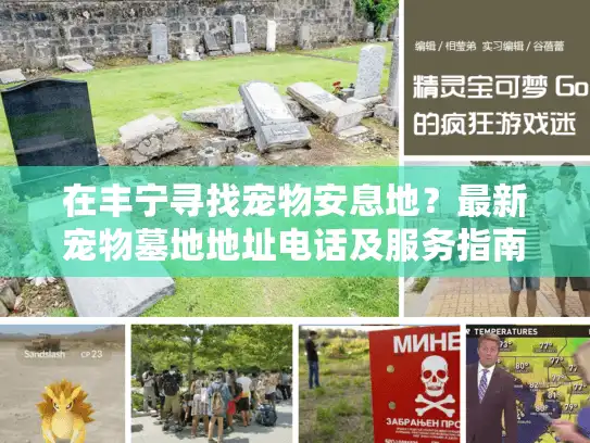 在丰宁寻找宠物安息地？最新宠物墓地地址电话及服务指南