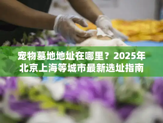 宠物墓地地址在哪里？2025年北京上海等城市最新选址指南