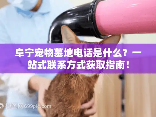阜宁宠物墓地电话是什么？一站式联系方式获取指南！