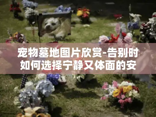 宠物墓地图片欣赏-告别时如何选择宁静又体面的安息地？