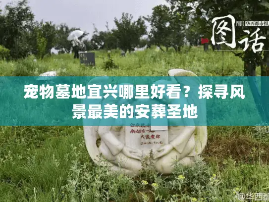 宠物墓地宜兴哪里好看？探寻风景最美的安葬圣地