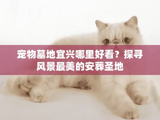 宠物墓地宜兴哪里好看？探寻风景最美的安葬圣地