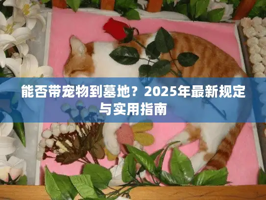 能否带宠物到墓地？2025年最新规定与实用指南