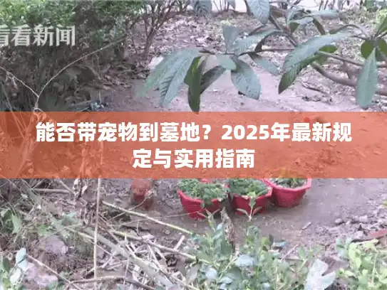 能否带宠物到墓地？2025年最新规定与实用指南