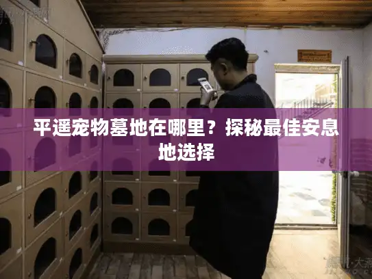 平遥宠物墓地在哪里？探秘最佳安息地选择