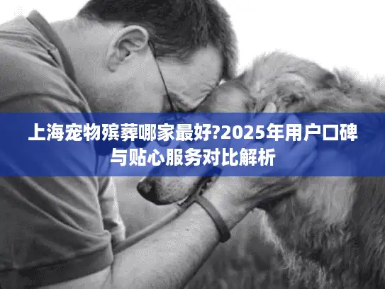 上海宠物殡葬哪家最好?2025年用户口碑与贴心服务对比解析