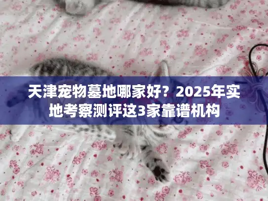 天津宠物墓地哪家好？2025年实地考察测评这3家靠谱机构