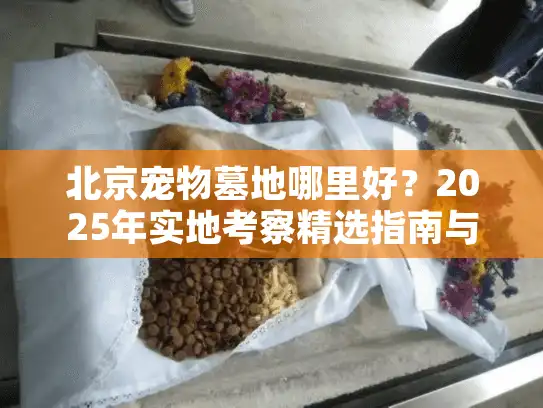 北京宠物墓地哪里好？2025年实地考察精选指南与避坑建议