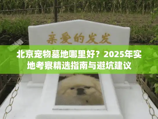 北京宠物墓地哪里好？2025年实地考察精选指南与避坑建议