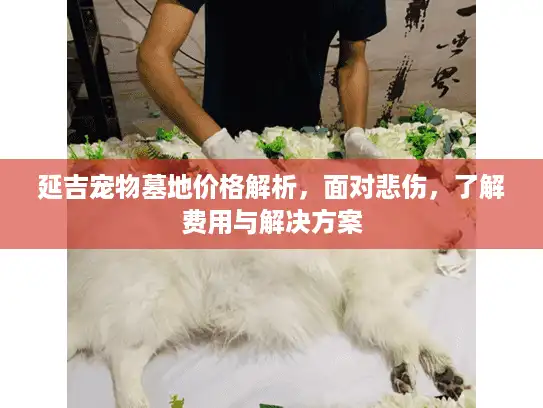 延吉宠物墓地价格解析，面对悲伤，了解费用与解决方案