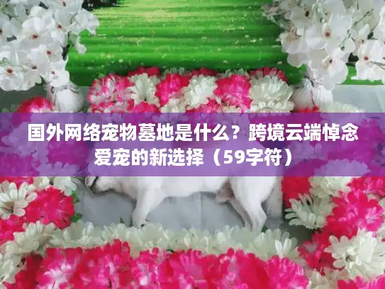 国外网络宠物墓地是什么？跨境云端悼念爱宠的新选择（59字符）