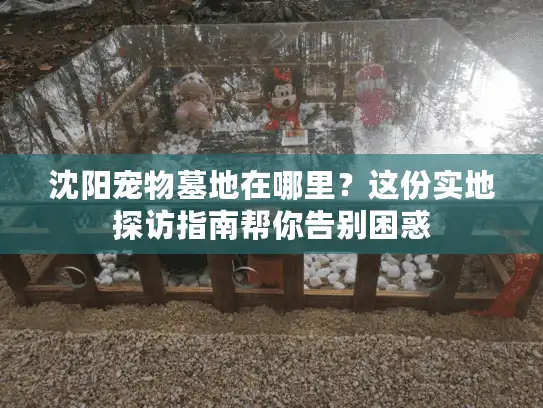 沈阳宠物墓地在哪里？这份实地探访指南帮你告别困惑