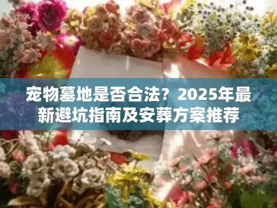 宠物墓地是否合法？2025年最新避坑指南及安葬方案推荐