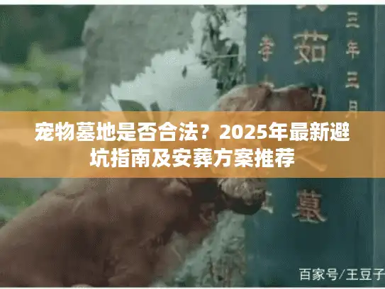 宠物墓地是否合法？2025年最新避坑指南及安葬方案推荐