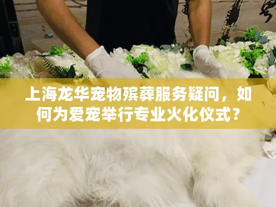 上海龙华宠物殡葬服务疑问，如何为爱宠举行专业火化仪式？