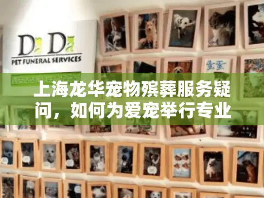 上海龙华宠物殡葬服务疑问，如何为爱宠举行专业火化仪式？