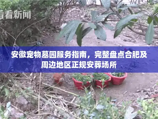 安徽宠物墓园服务指南，完整盘点合肥及周边地区正规安葬场所