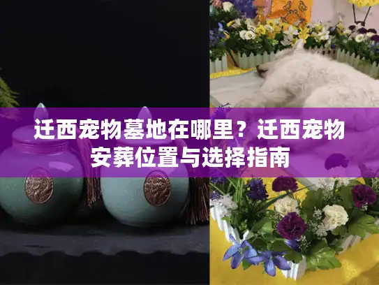 迁西宠物墓地在哪里？迁西宠物安葬位置与选择指南