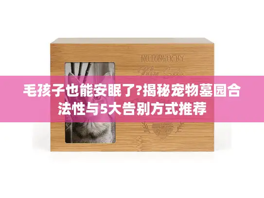 毛孩子也能安眠了?揭秘宠物墓园合法性与5大告别方式推荐