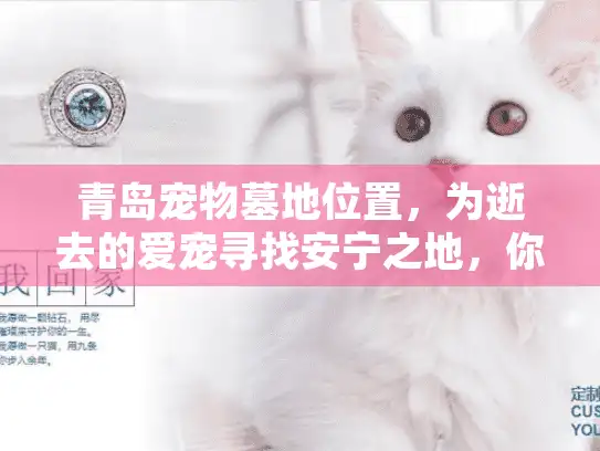 青岛宠物墓地位置，为逝去的爱宠寻找安宁之地，你需要知道的一切