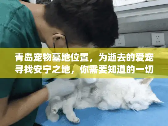 青岛宠物墓地位置，为逝去的爱宠寻找安宁之地，你需要知道的一切