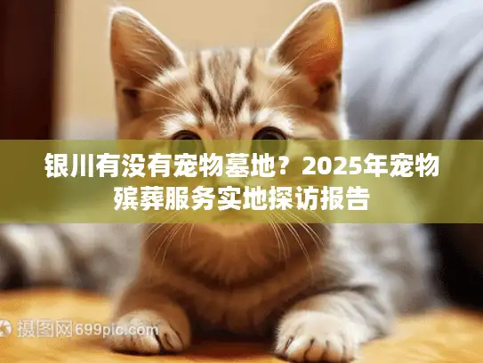银川有没有宠物墓地？2025年宠物殡葬服务实地探访报告