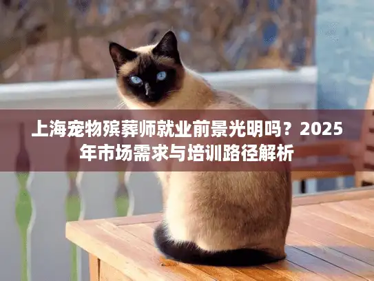 上海宠物殡葬师就业前景光明吗？2025年市场需求与培训路径解析