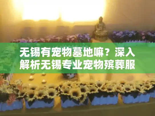 无锡有宠物墓地嘛？深入解析无锡专业宠物殡葬服务选择