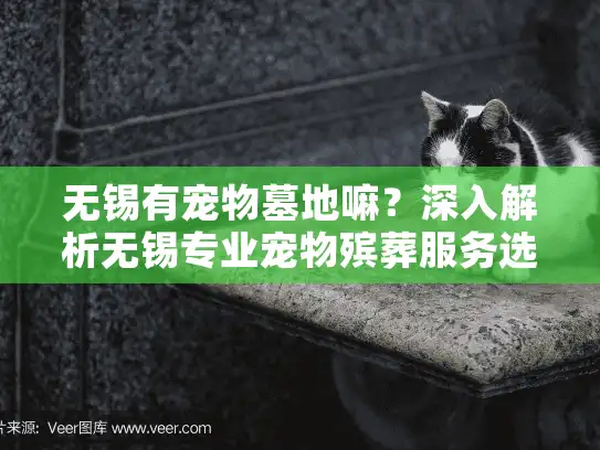 无锡有宠物墓地嘛？深入解析无锡专业宠物殡葬服务选择