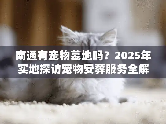 南通有宠物墓地吗？2025年实地探访宠物安葬服务全解析