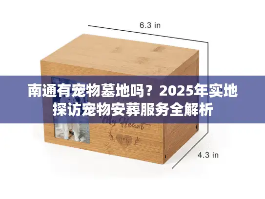 南通有宠物墓地吗？2025年实地探访宠物安葬服务全解析