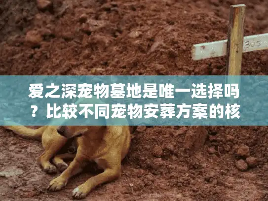 爱之深宠物墓地是唯一选择吗？比较不同宠物安葬方案的核心差异
