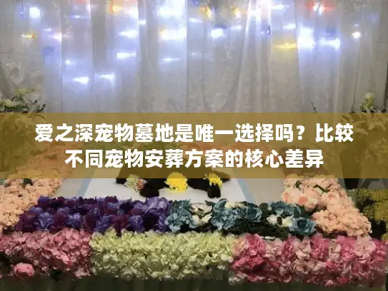 爱之深宠物墓地是唯一选择吗？比较不同宠物安葬方案的核心差异