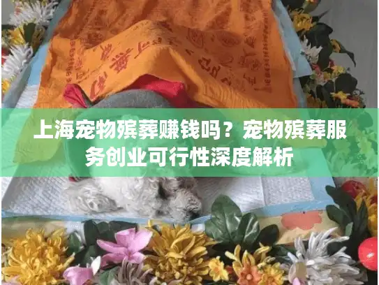 上海宠物殡葬赚钱吗？宠物殡葬服务创业可行性深度解析